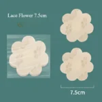 Nipple Covers for Women Bump Proof Exposure Proof Disposable Adhesive Nipple Pasties Stickers Women Lingerie Accessories - Image 14
